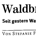 Freie Presse Zwickau 06. August 2003